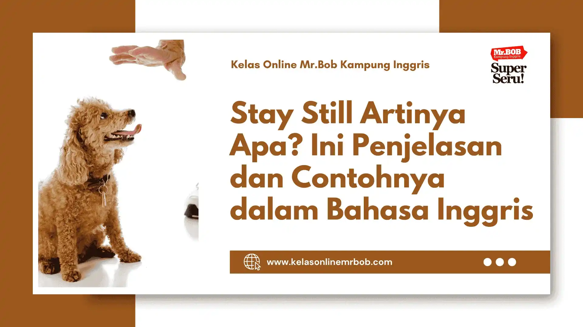 Stay Still Artinya Apa? Ini Penjelasan dan Contohnya dalam Bahasa Inggris - Kelas Online Mr.BOB Kampung Inggris