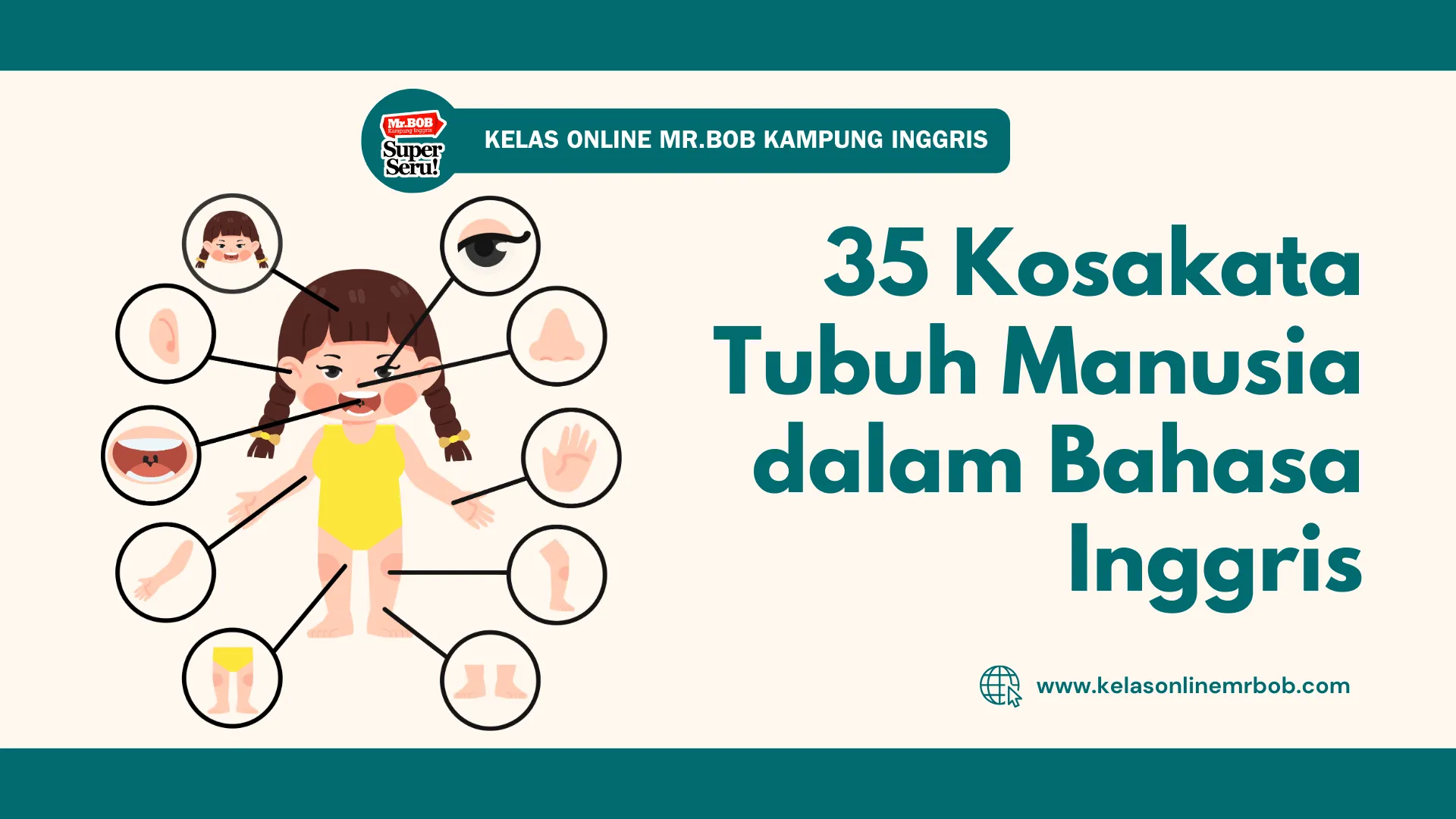 35 Kosakata Tubuh Manusia dalam Bahasa Inggris - Kelas Online Mr.BOB Kampung Inggris