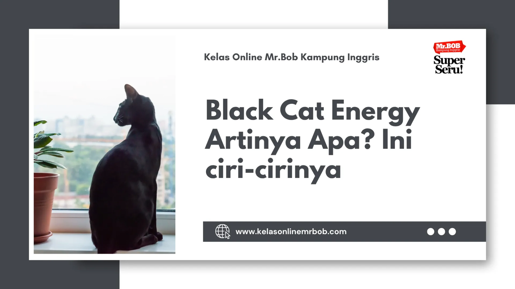 Black Cat Energy Artinya Apa? Ini Ciri-Cirinya