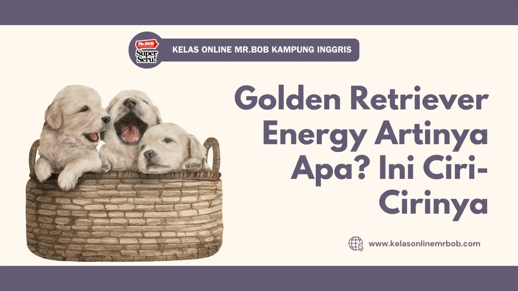 Golden Retriever Energy Artinya Apa? Ini Ciri-Cirinya 1 Golden Retriever Energy Artinya Apa? Ini Ciri-Cirinya
